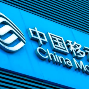 和大家計計中國移動(941)的「中國特色估值」