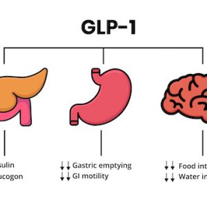 為什麼GLP-1藥物會成為熱門投資主題？(信報「財智博立」專欄)