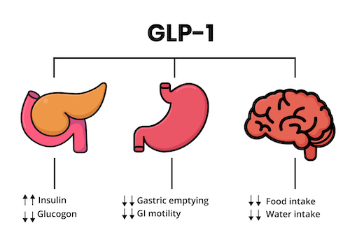 為什麼GLP-1藥物會成為熱門投資主題？(信報「財智博立」專欄)